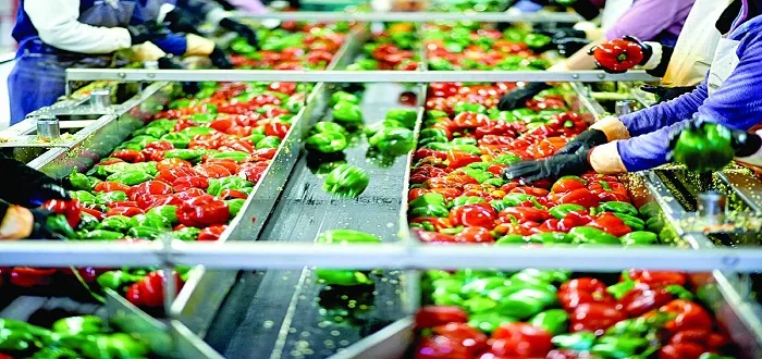 أهم الصادرات التركية خلال الأعوام الماضية الصناعات الغذائية والمنتجات الزراعية الطازجة