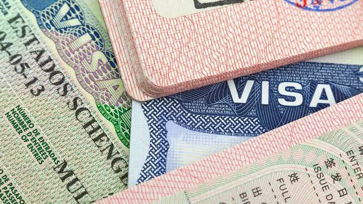 الفيزا التركية للسوريين من سوريا للتجار ورجال الأعمال