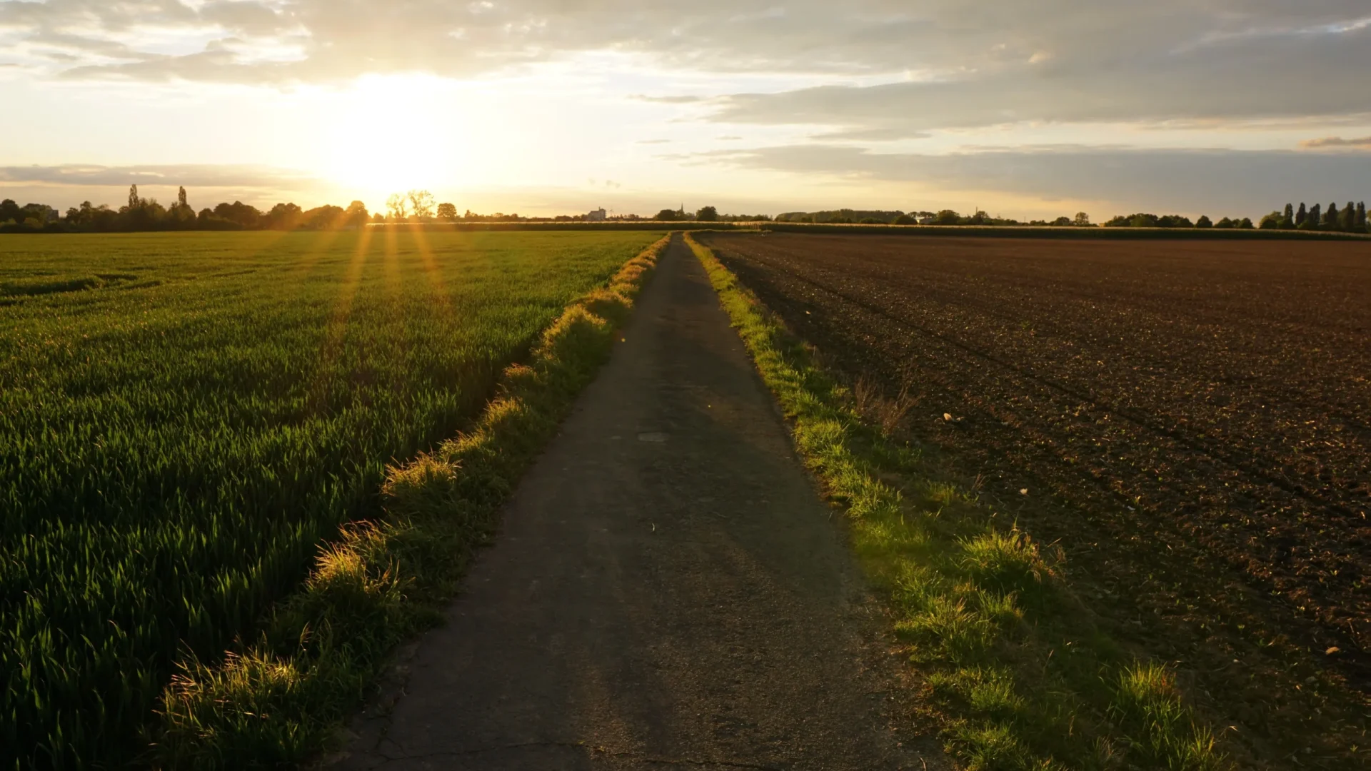 pathway-middle-grassy-field-cloudy-sky