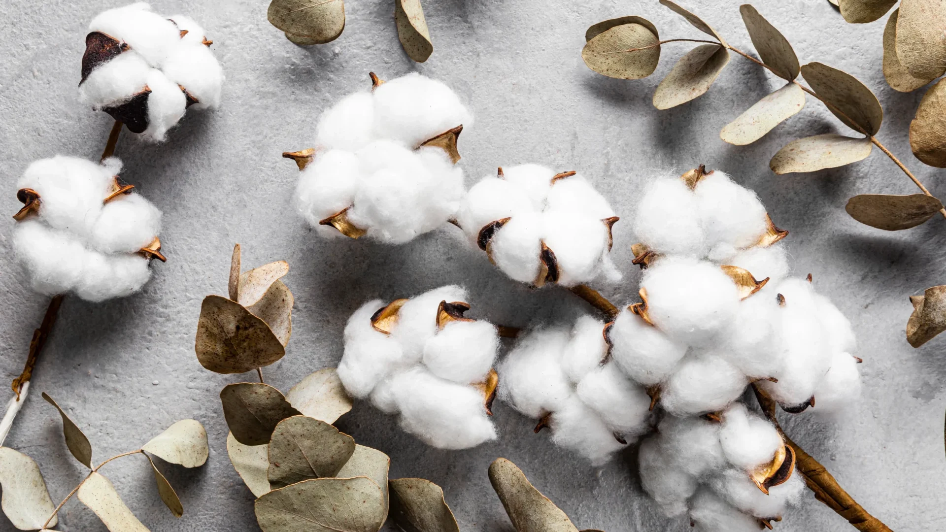 قطن التركي , الأنسجة القطنيه ومنتجاتها